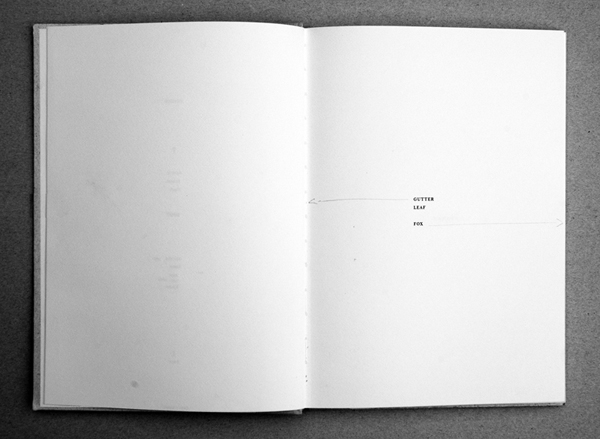 Fiona Banner: Anatomy of a Book, 2009