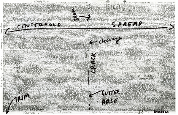 Fiona Banner: Anatomy of a Page, 2008